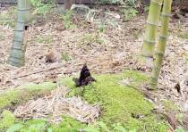 新人スタッフ配属！