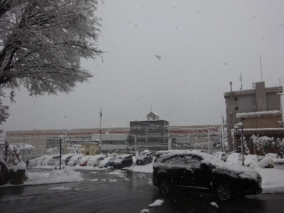 今日の湯沢は雪模様画像1