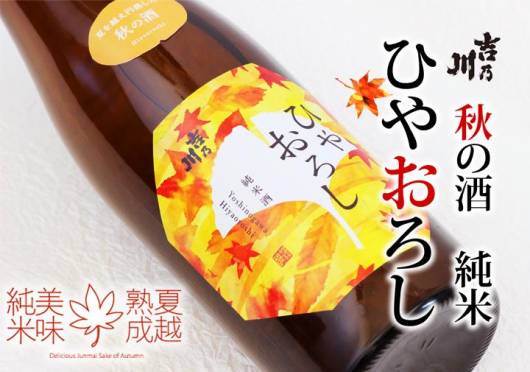 秋の限定酒「ひやおろし」