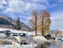 まだ11月なのに・・・