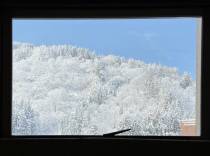 絵画のような雪景色